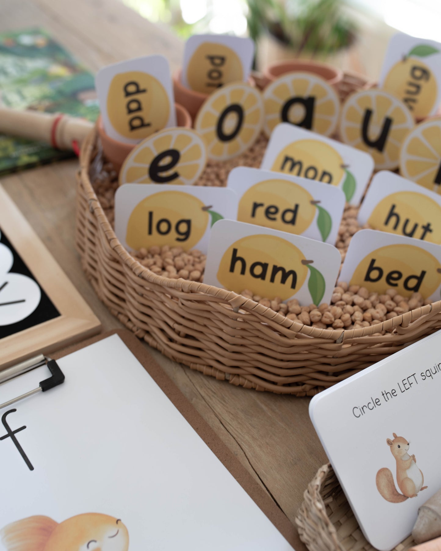 PRESCHOOL SKILLS MORNING BASKET - VOLUME 2