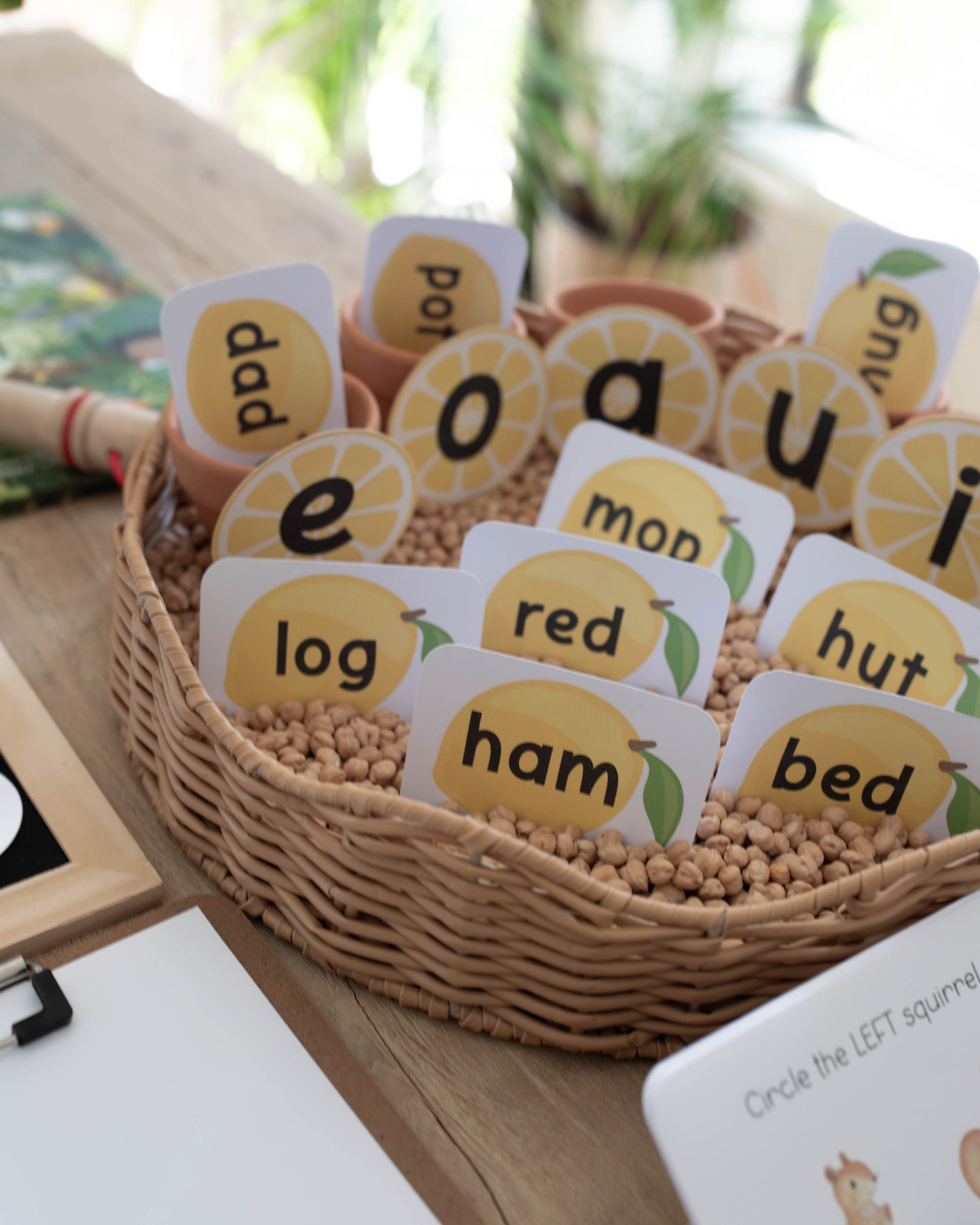 PRESCHOOL SKILLS MORNING BASKET - VOLUME 2