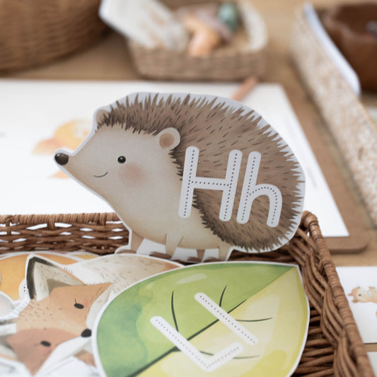 A close-up of a children's alphabet card featuring a hedgehog with the letter 'Hh' and a green leaf with the letter 'Ll', displayed in a woven basket.