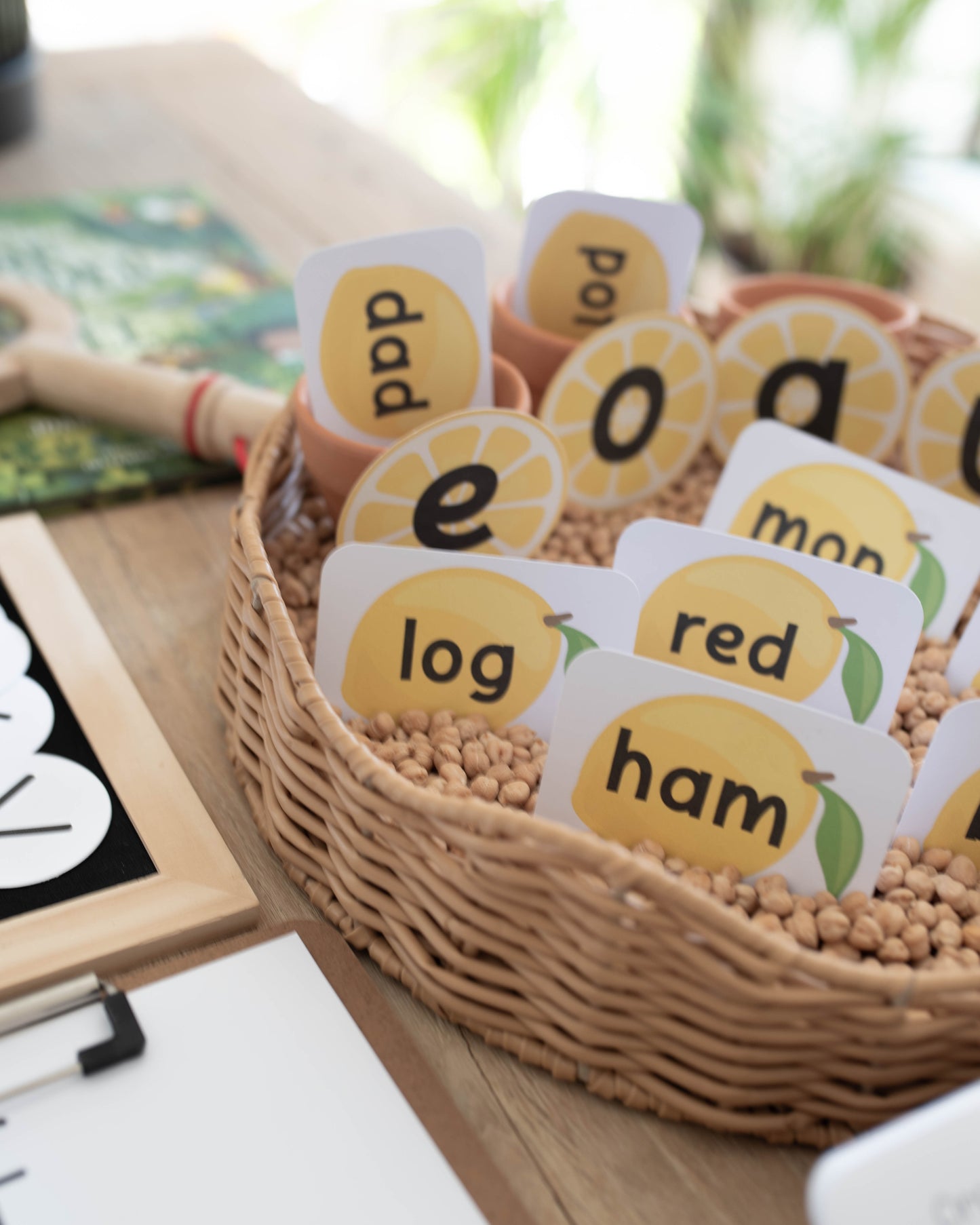 PRESCHOOL SKILLS MORNING BASKET - VOLUME 2