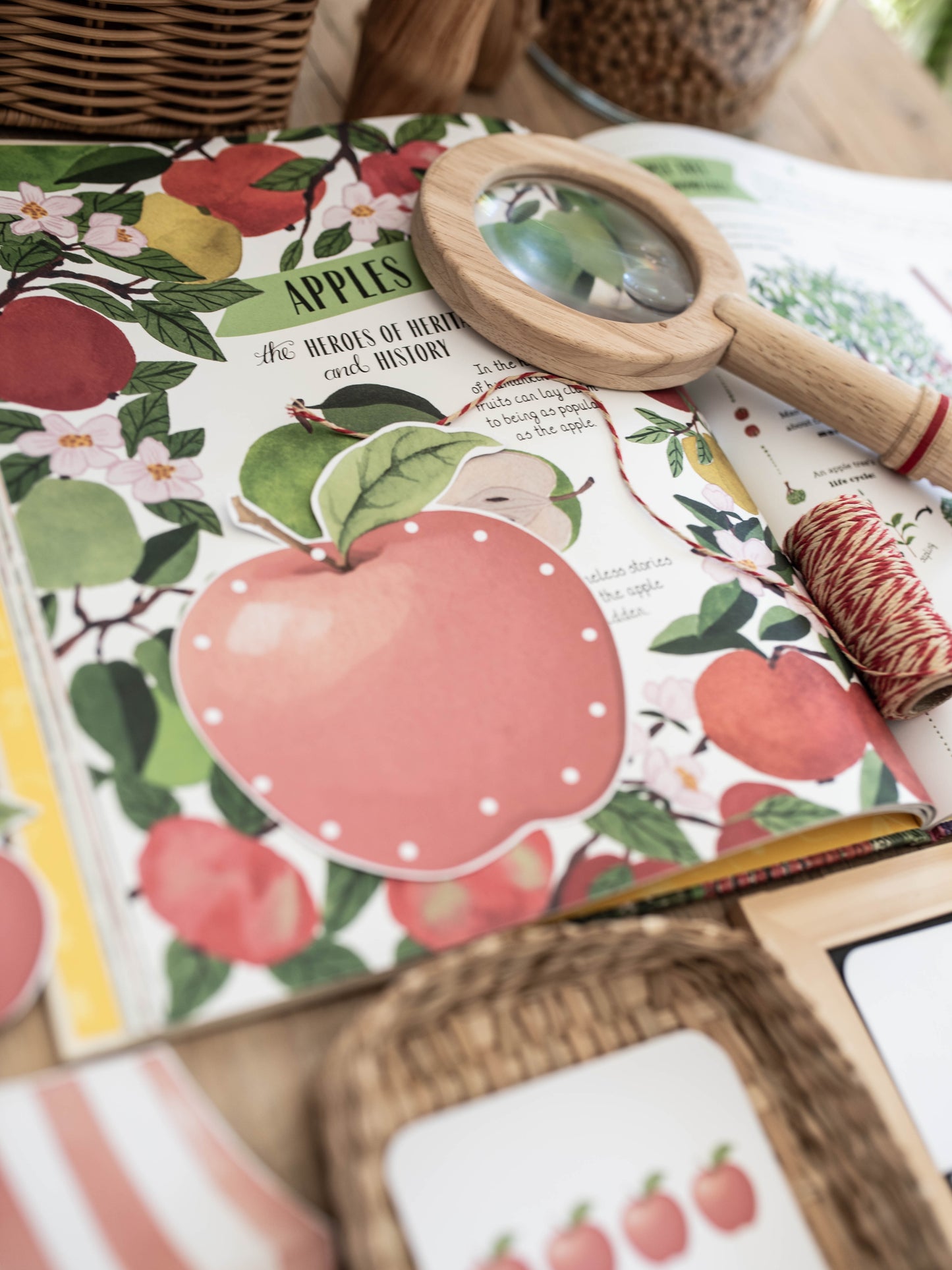 APPLE ORCHARD MORNING BASKET