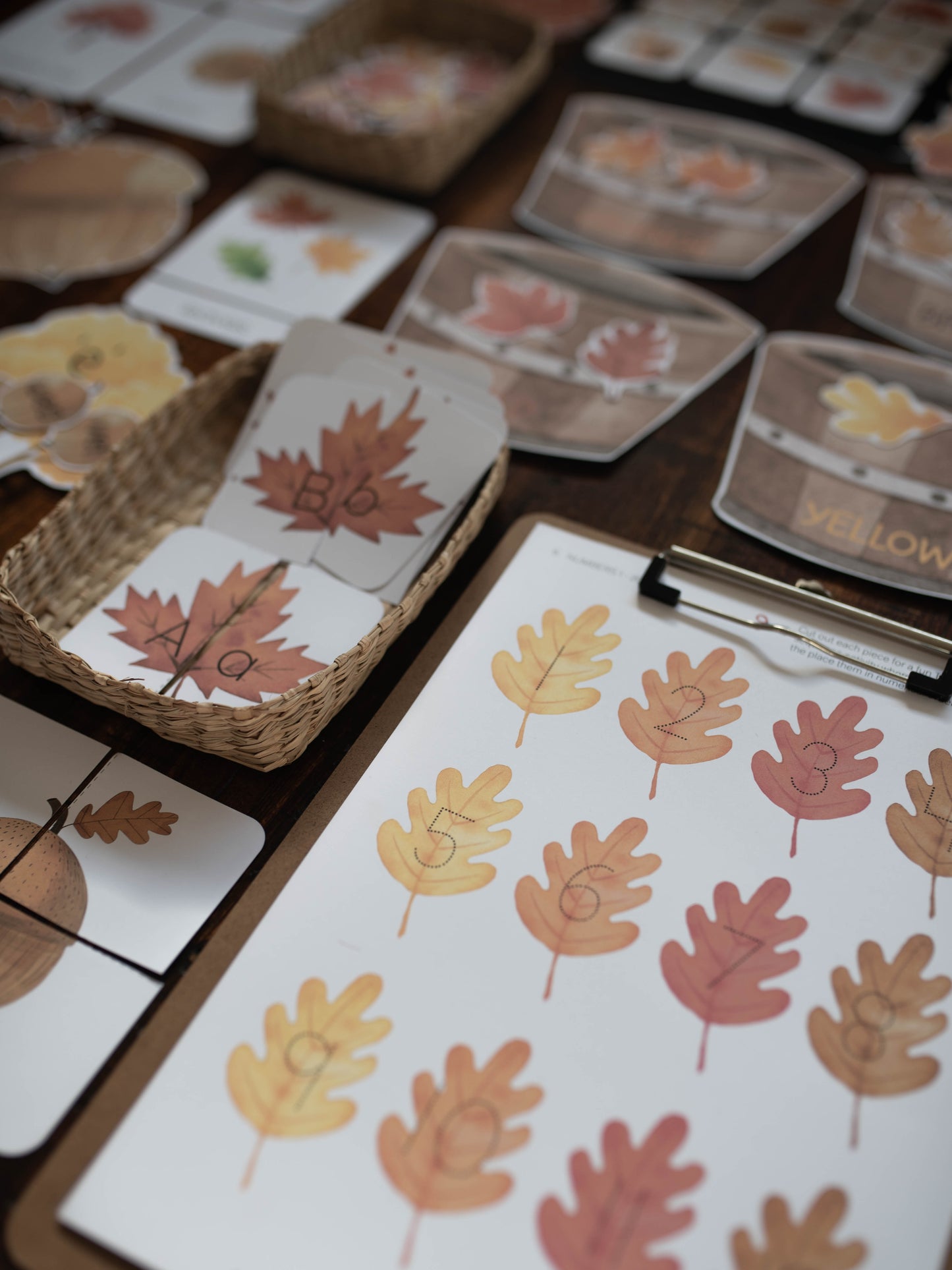 FALL/AUTUMN MORNING BASKET
