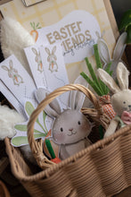 Load image into Gallery viewer, EASTER FRIENDS ACTIVITY PACK
