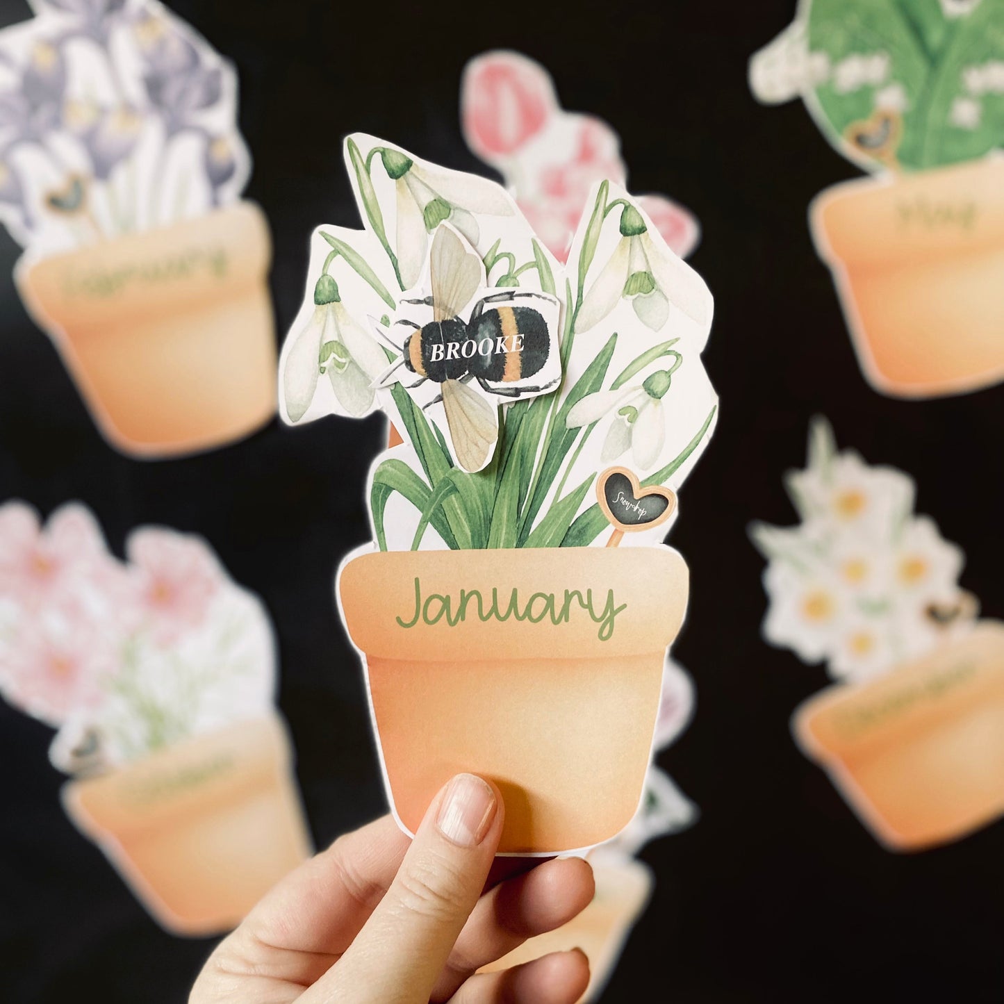 BIRTHDAY MONTH BIRTHDAY DISPLAY