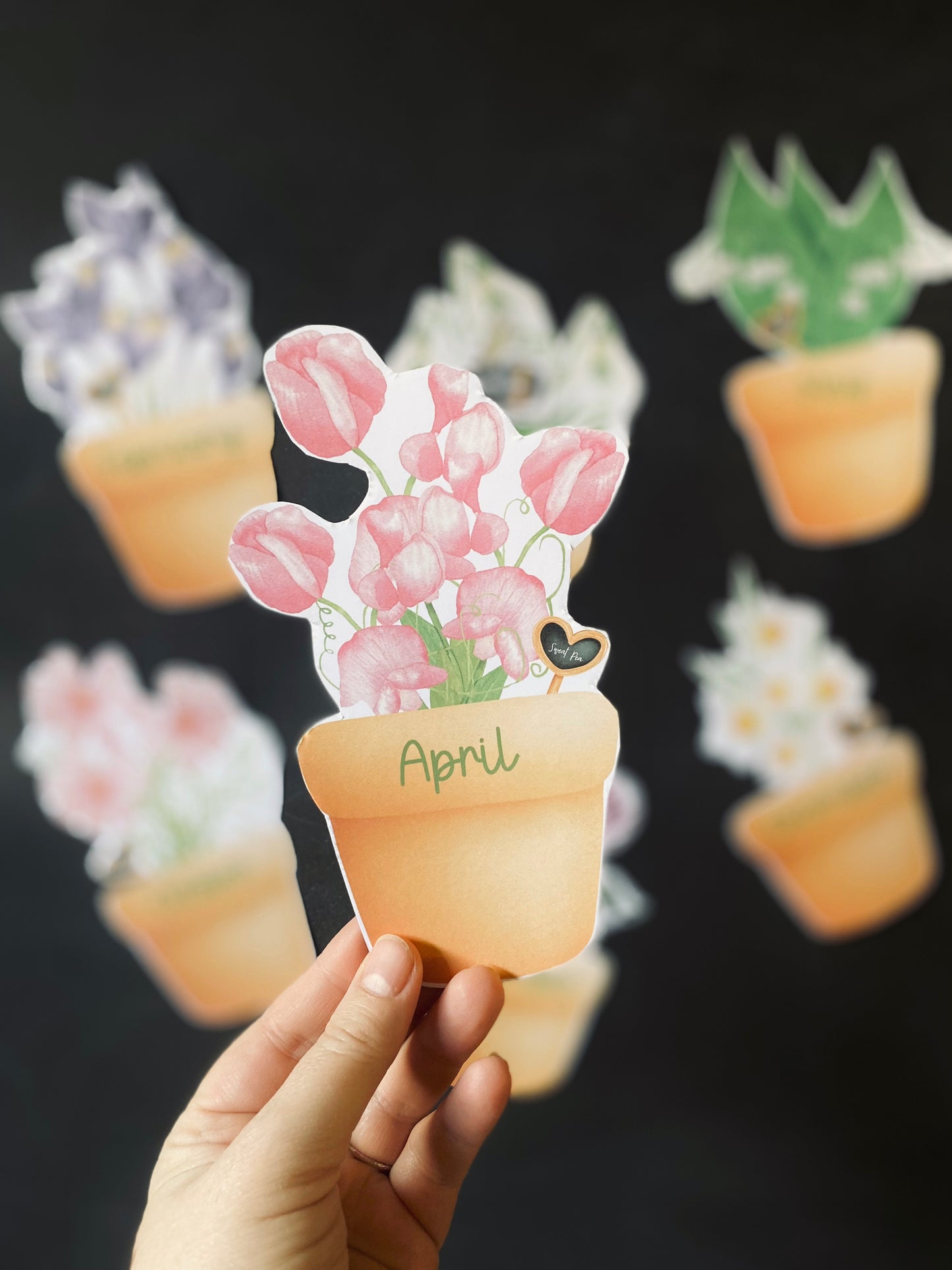 BIRTHDAY MONTH BIRTHDAY DISPLAY