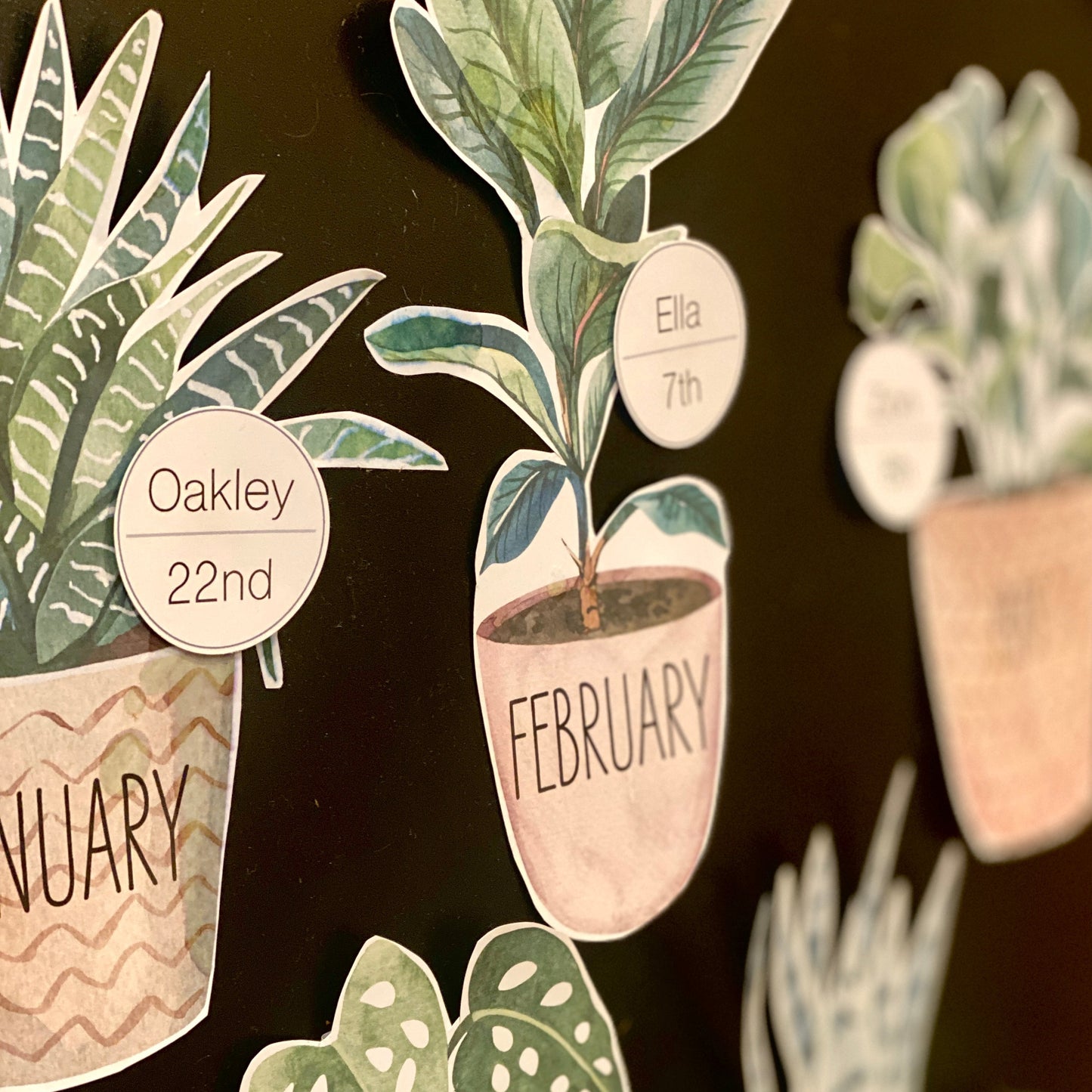 BOHO BOTANY BIRTHDAY DISPLAY