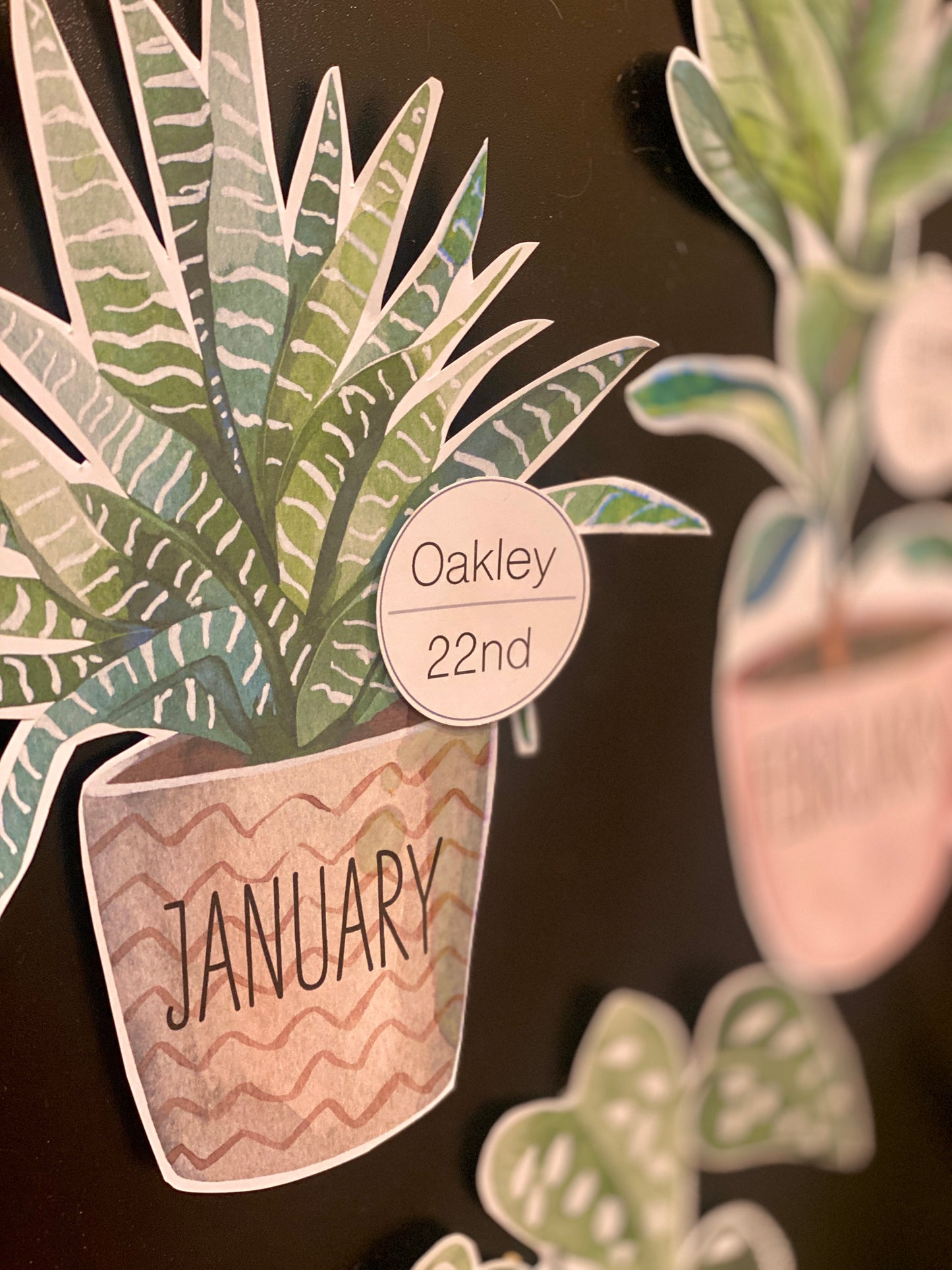 BOHO BOTANY BIRTHDAY DISPLAY