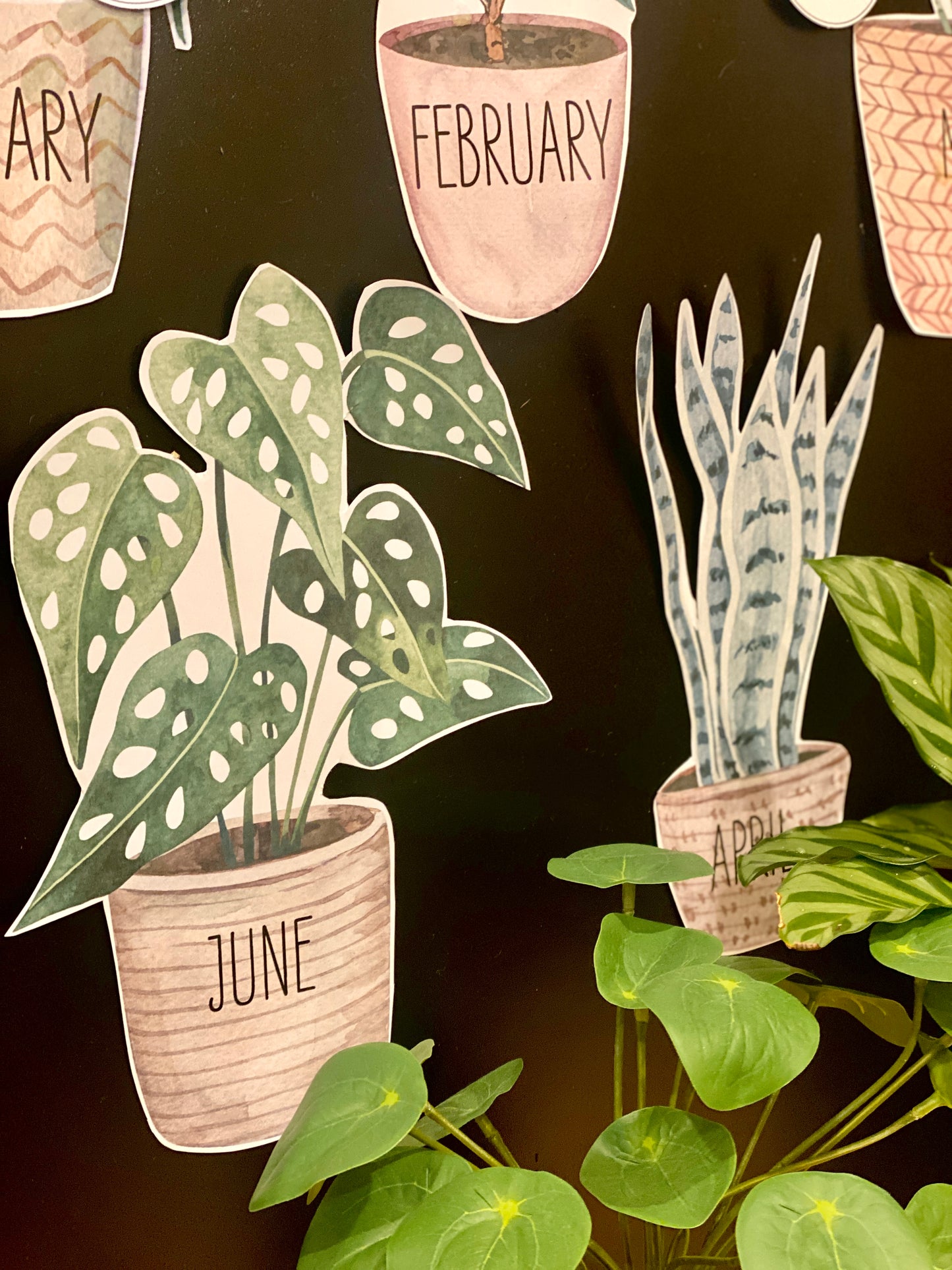 BOHO BOTANY BIRTHDAY DISPLAY