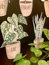Load image into Gallery viewer, BOHO BOTANY BIRTHDAY DISPLAY
