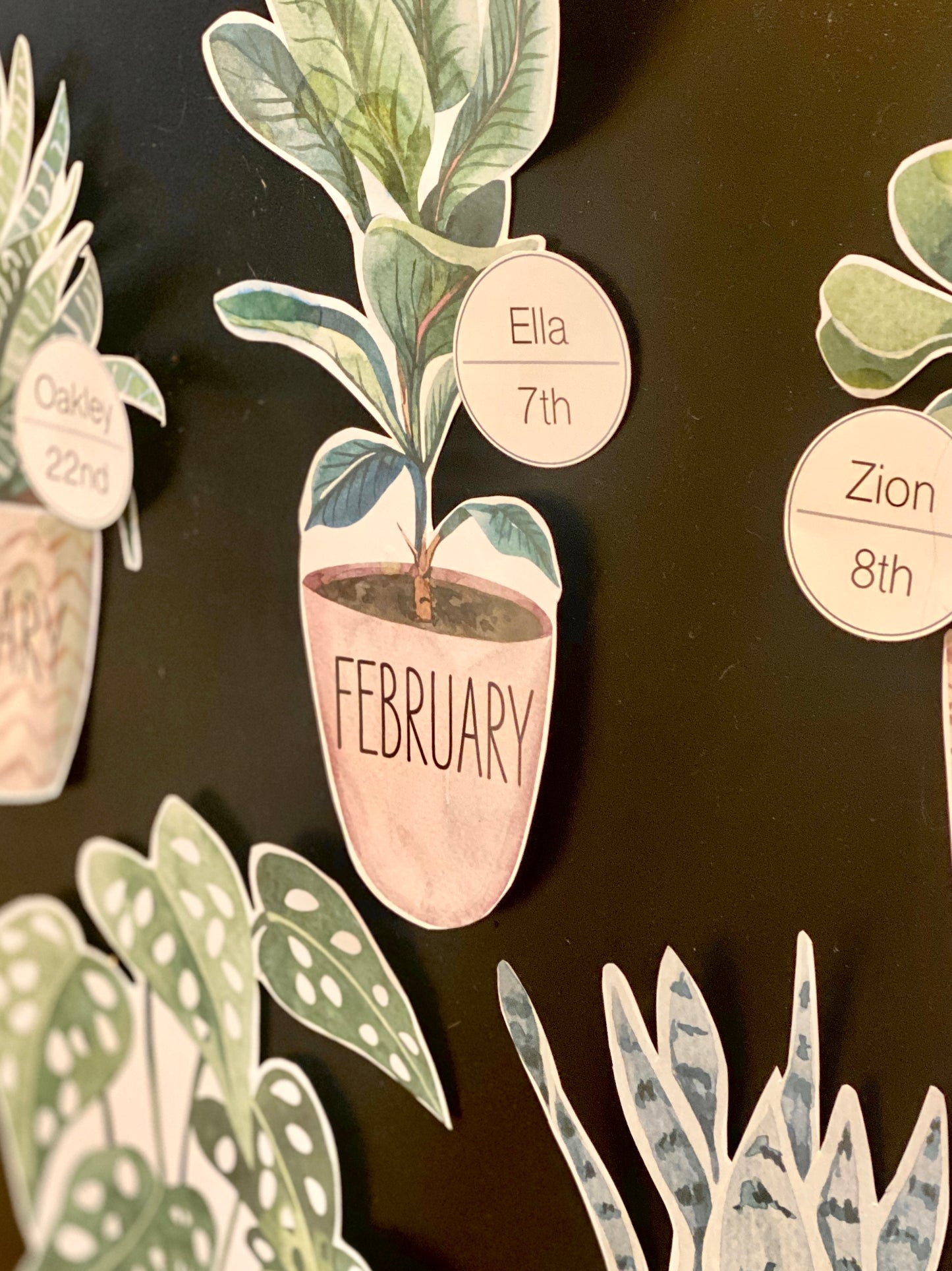 BOHO BOTANY BIRTHDAY DISPLAY