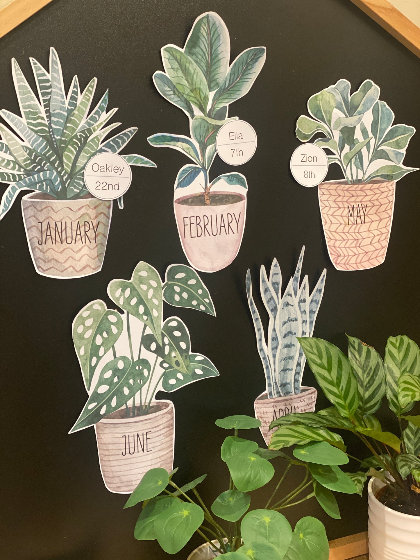 BOHO BOTANY BIRTHDAY DISPLAY
