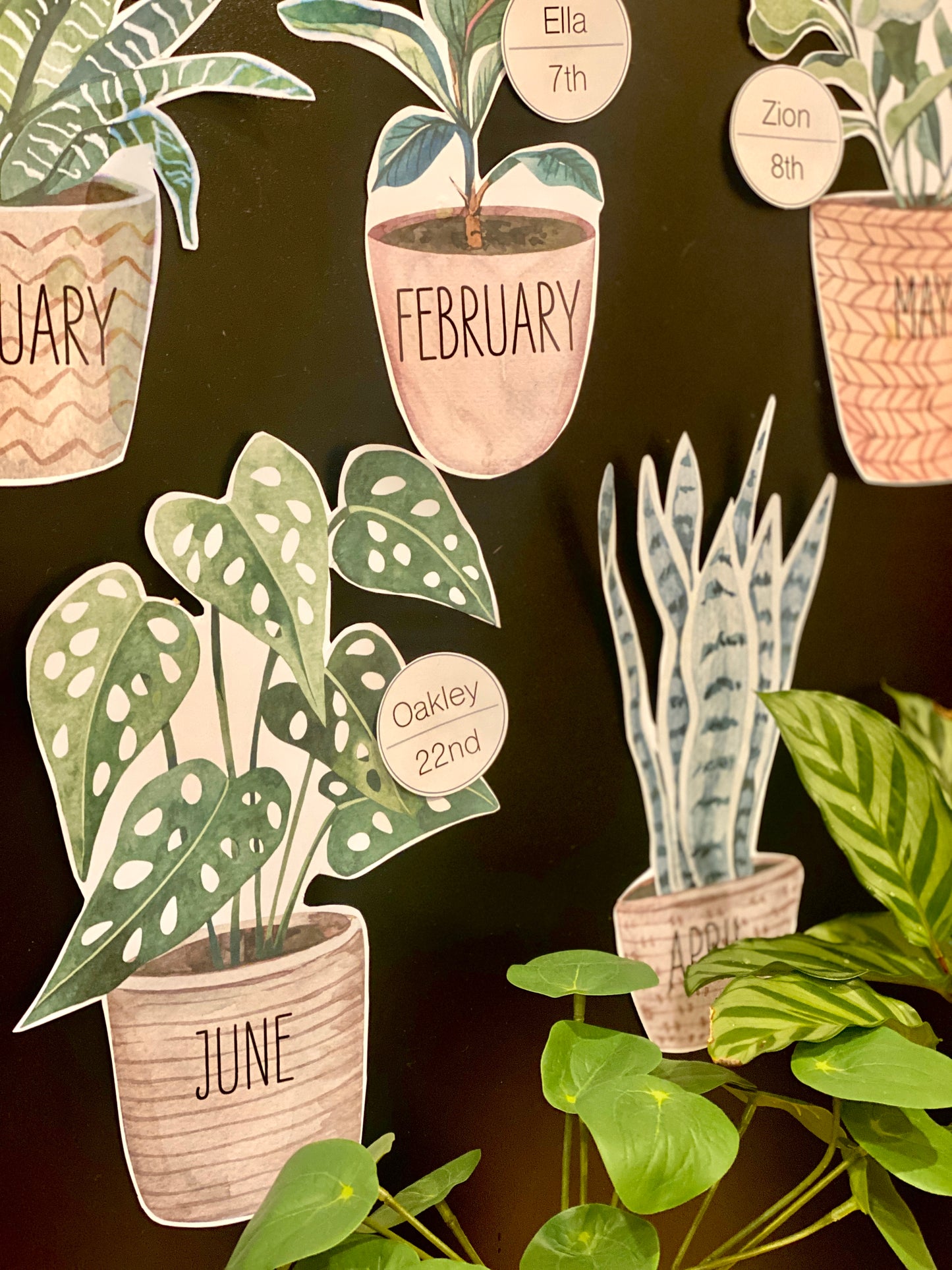BOHO BOTANY BIRTHDAY DISPLAY
