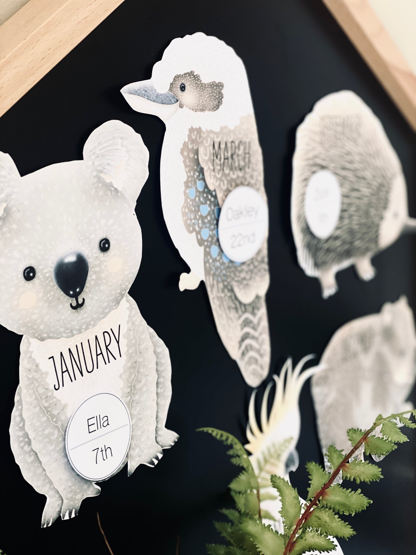 AUSTRALIAN BUSH BIRTHDAY DISPLAY