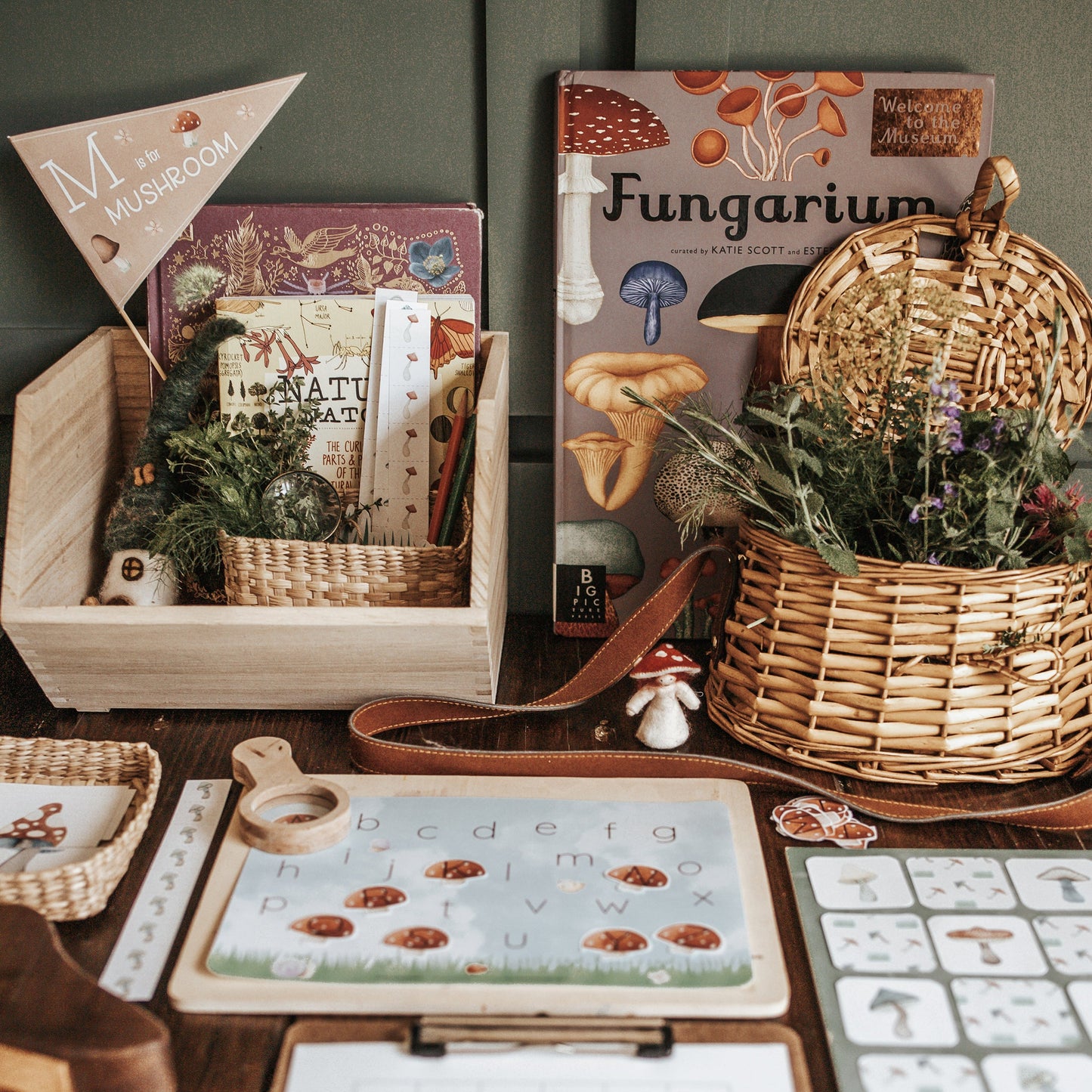 MUSHROOM MORNING BASKET