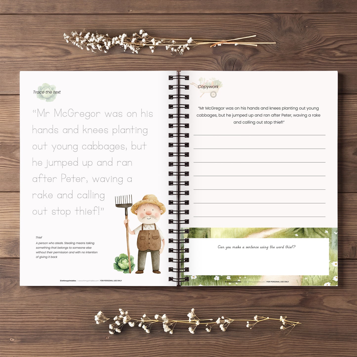 THE TALE OF PETER RABBIT CHARLOTTE MASON COPYWORK