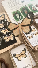Load and play video in Gallery viewer, BUTTERFLY MINI UNIT STUDY
