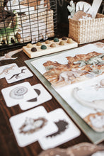 Load image into Gallery viewer, PALEONTOLOGY MORNING BASKET
