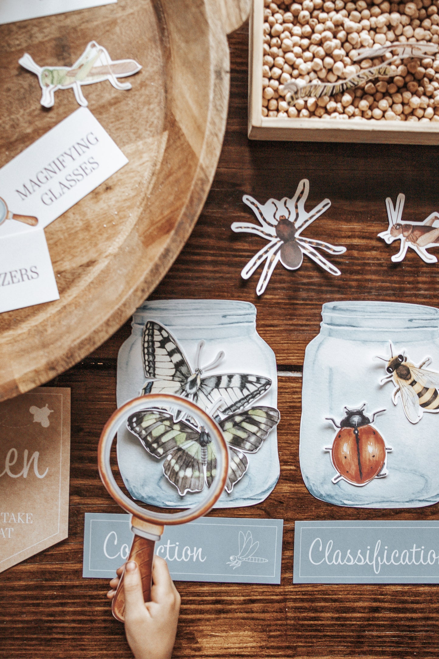 ENTOMOLOGY LAB DRAMATIC PLAY SET