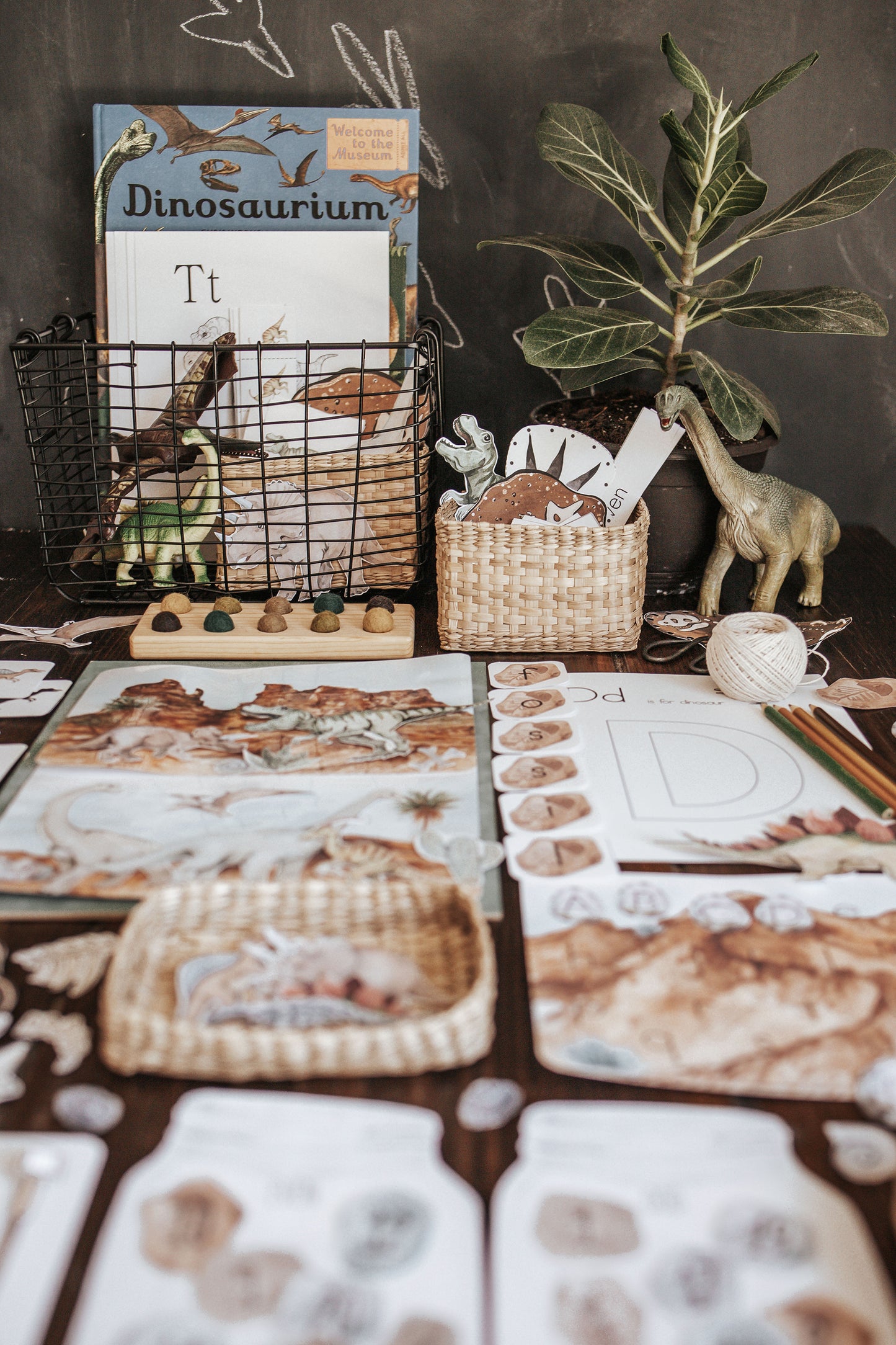 PALEONTOLOGY MORNING BASKET
