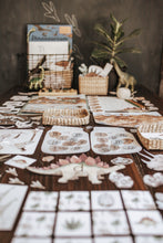 Load image into Gallery viewer, PALEONTOLOGY MORNING BASKET
