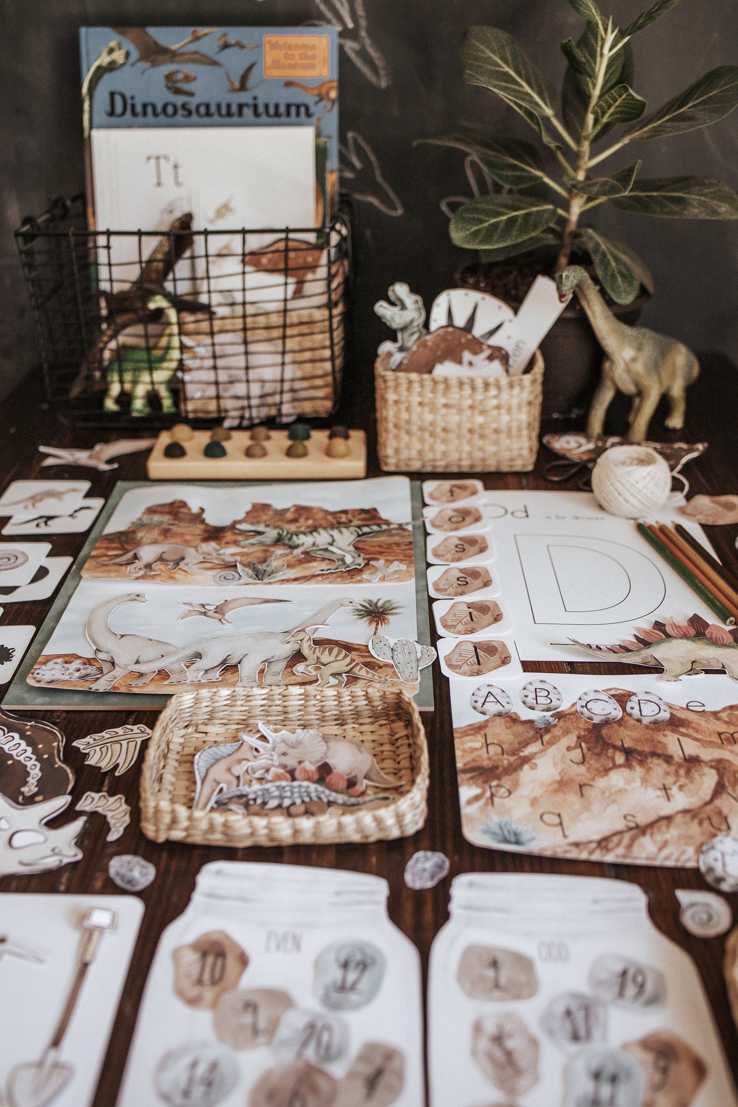 PALEONTOLOGY MORNING BASKET
