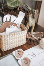 Load image into Gallery viewer, PALEONTOLOGY MORNING BASKET
