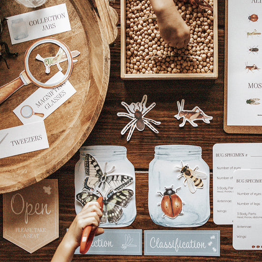 ENTOMOLOGY LAB DRAMATIC PLAY SET