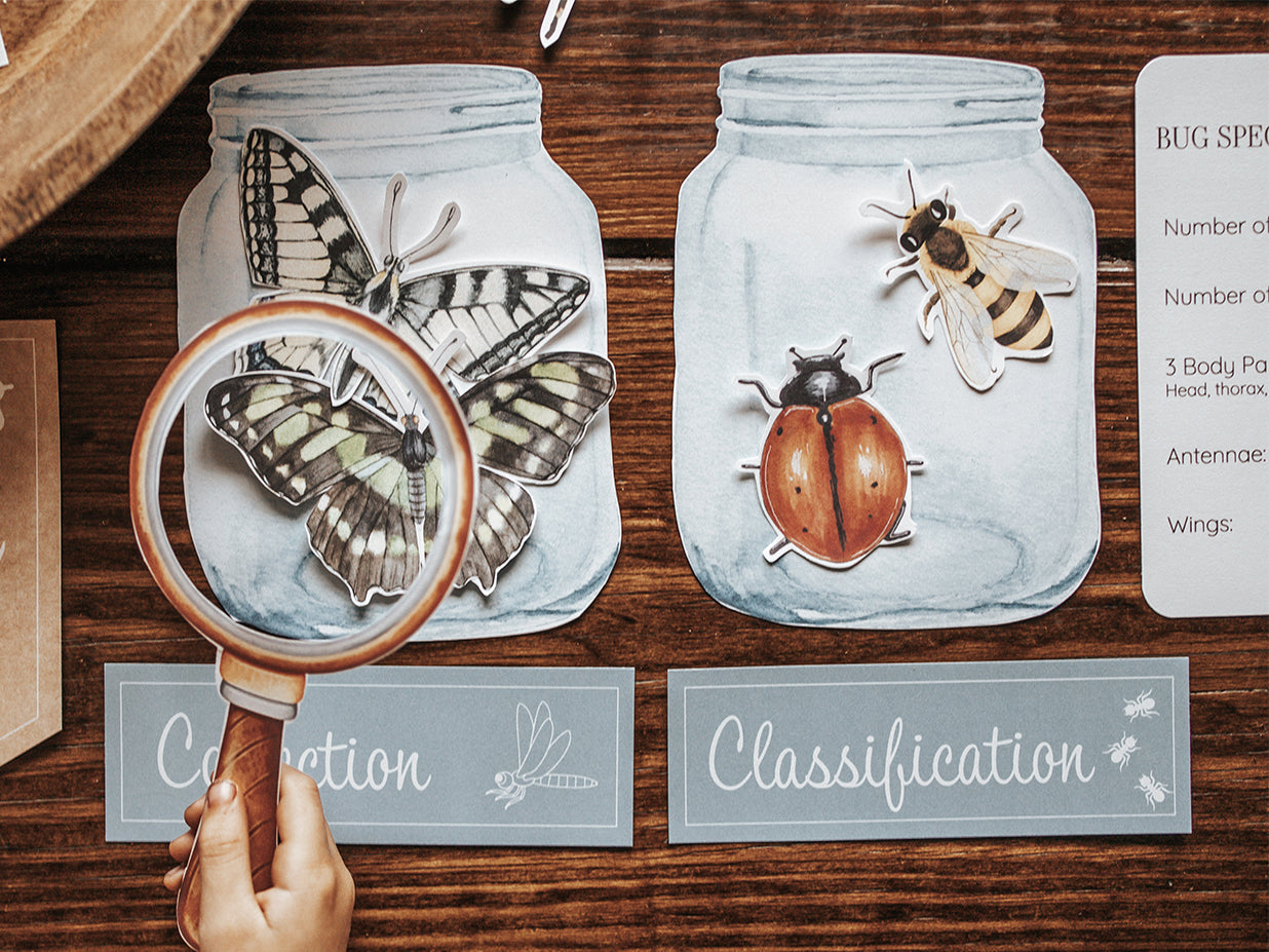 ENTOMOLOGY LAB DRAMATIC PLAY SET