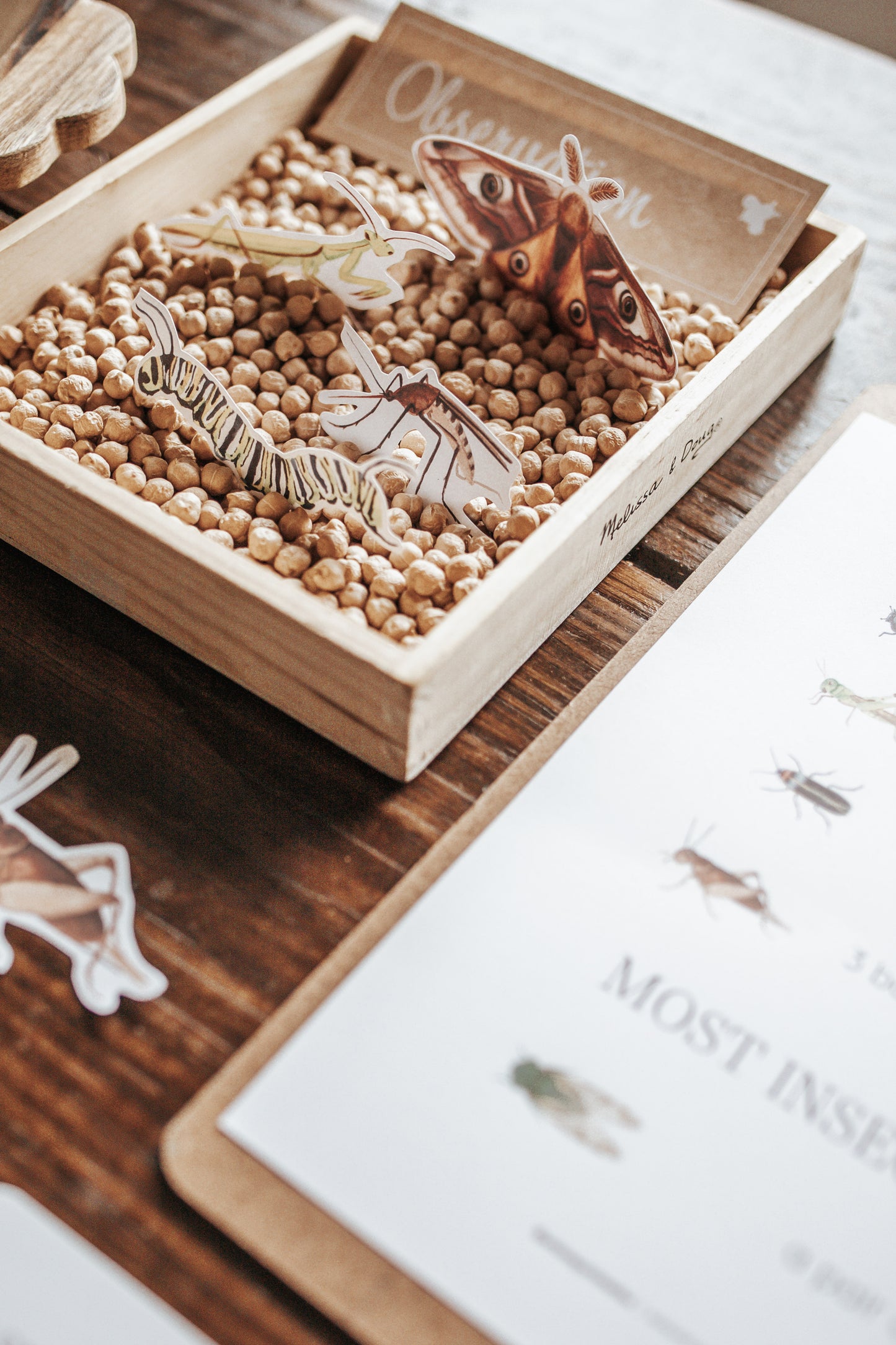 ENTOMOLOGY LAB DRAMATIC PLAY SET