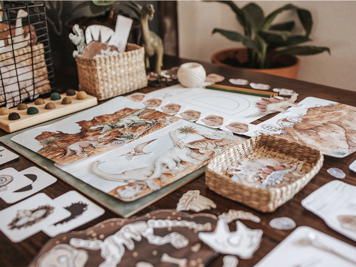 PALEONTOLOGY MORNING BASKET