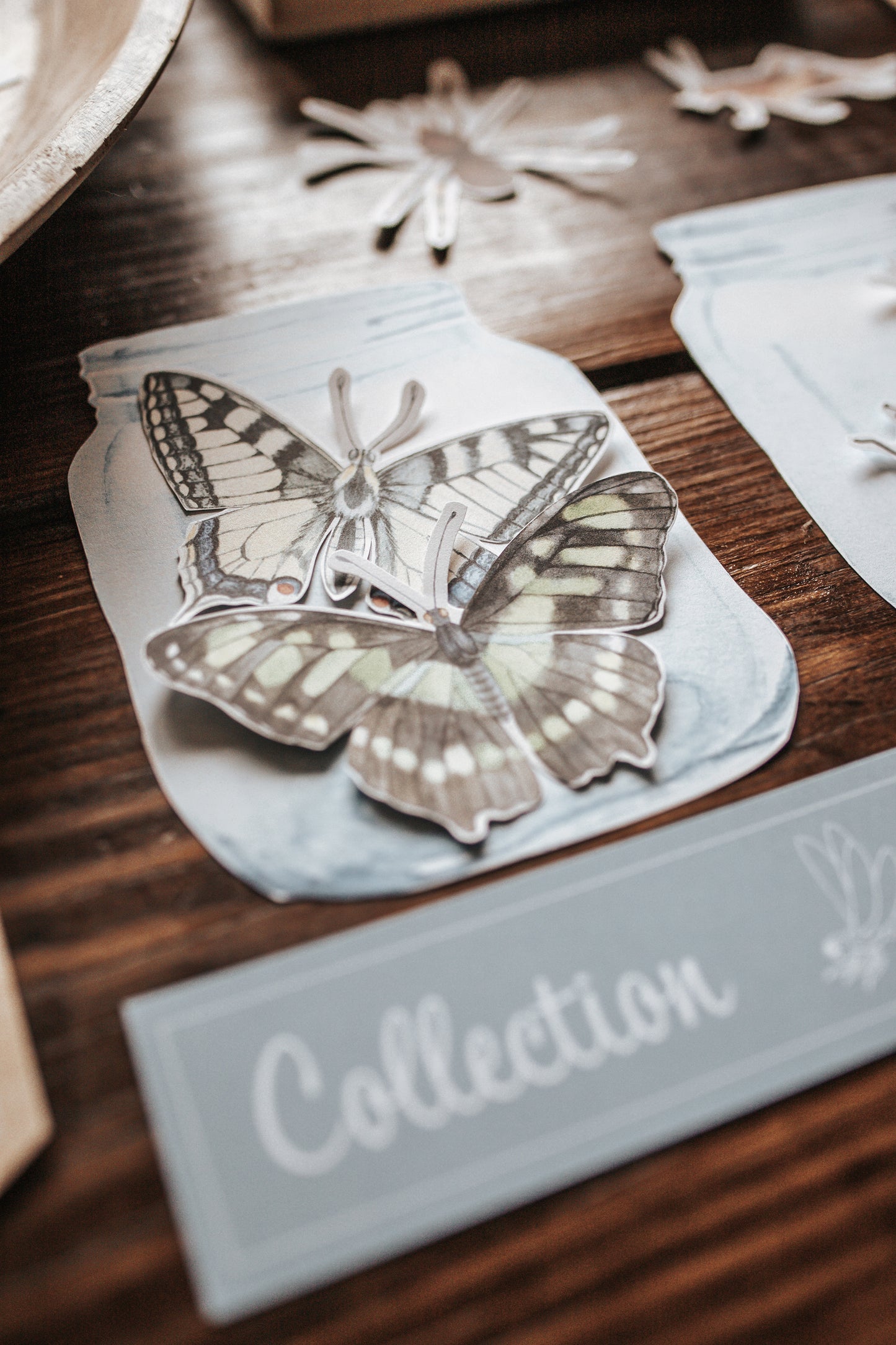 ENTOMOLOGY LAB DRAMATIC PLAY SET