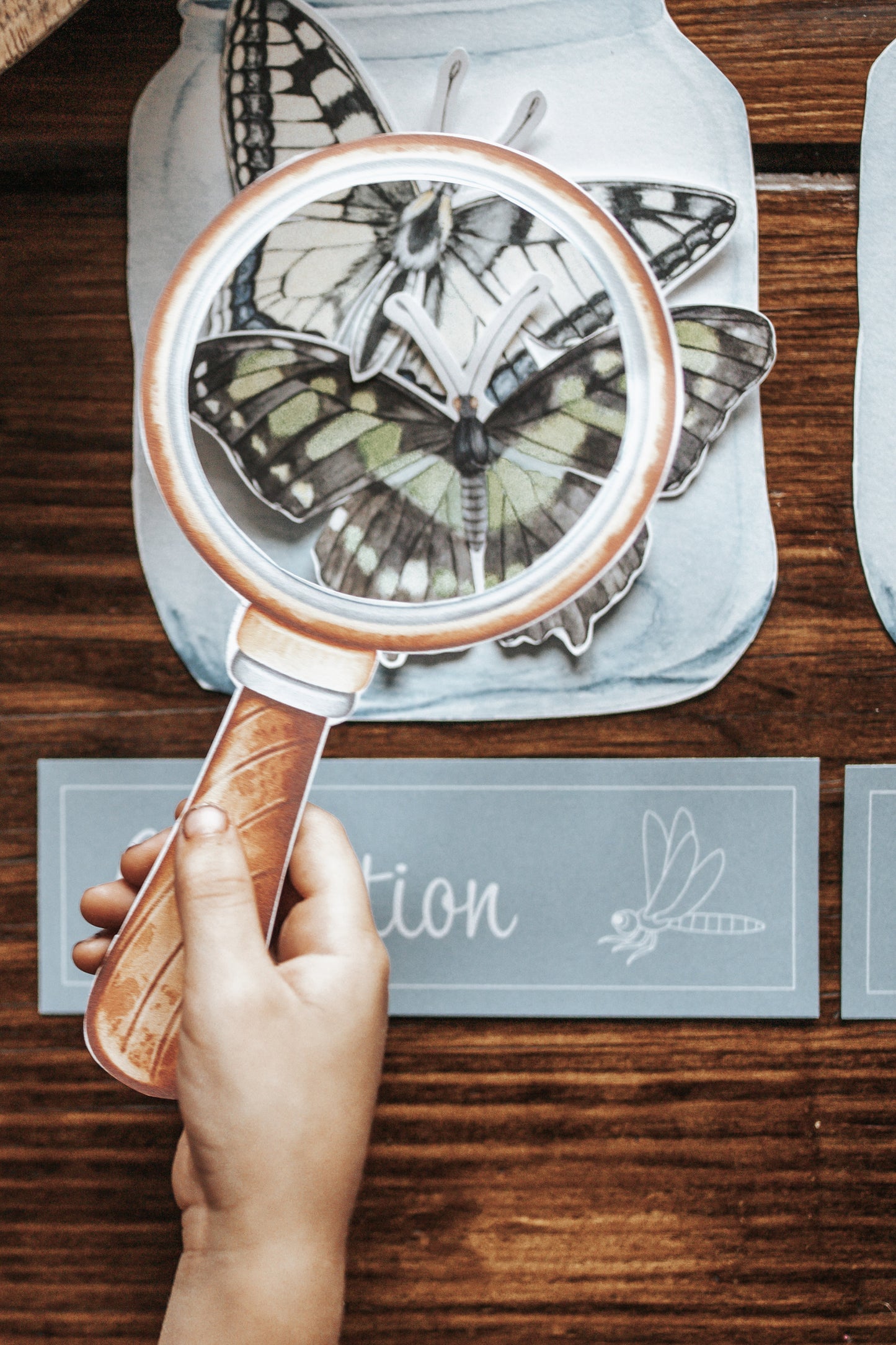 ENTOMOLOGY LAB DRAMATIC PLAY SET