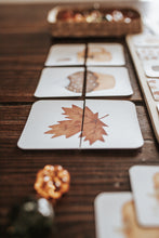 Load image into Gallery viewer, THANKSGIVING FREEBIE FUN!
