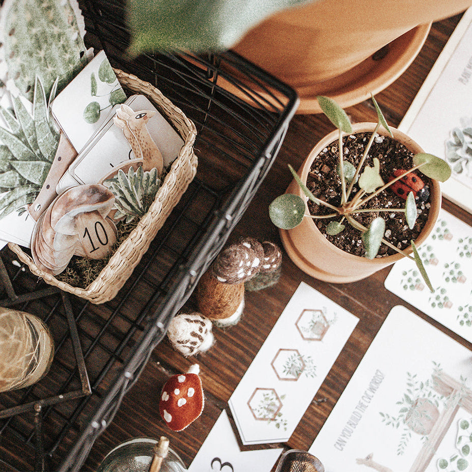 BOTANY MORNING BASKET