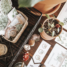 Load image into Gallery viewer, BOTANY MORNING BASKET
