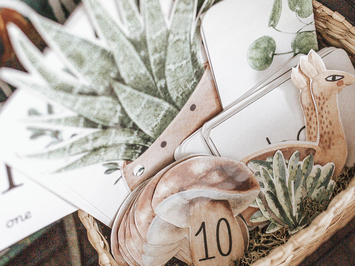 BOTANY MORNING BASKET