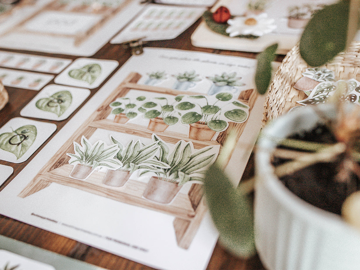 BOTANY MORNING BASKET