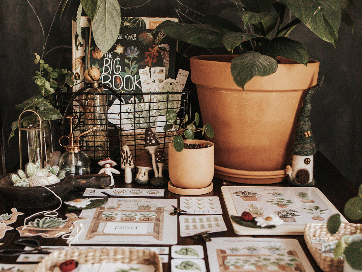 BOTANY MORNING BASKET