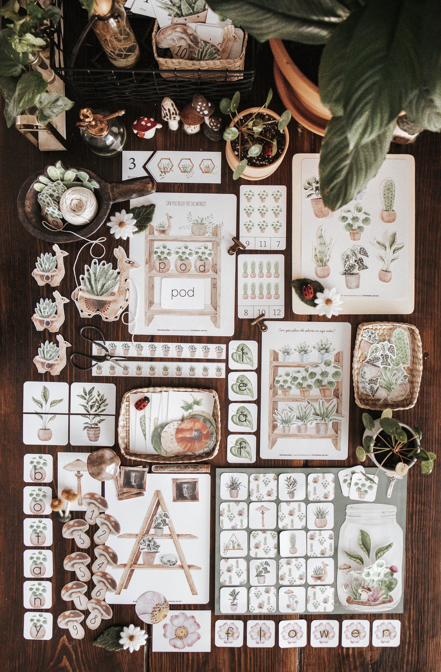 BOTANY MORNING BASKET