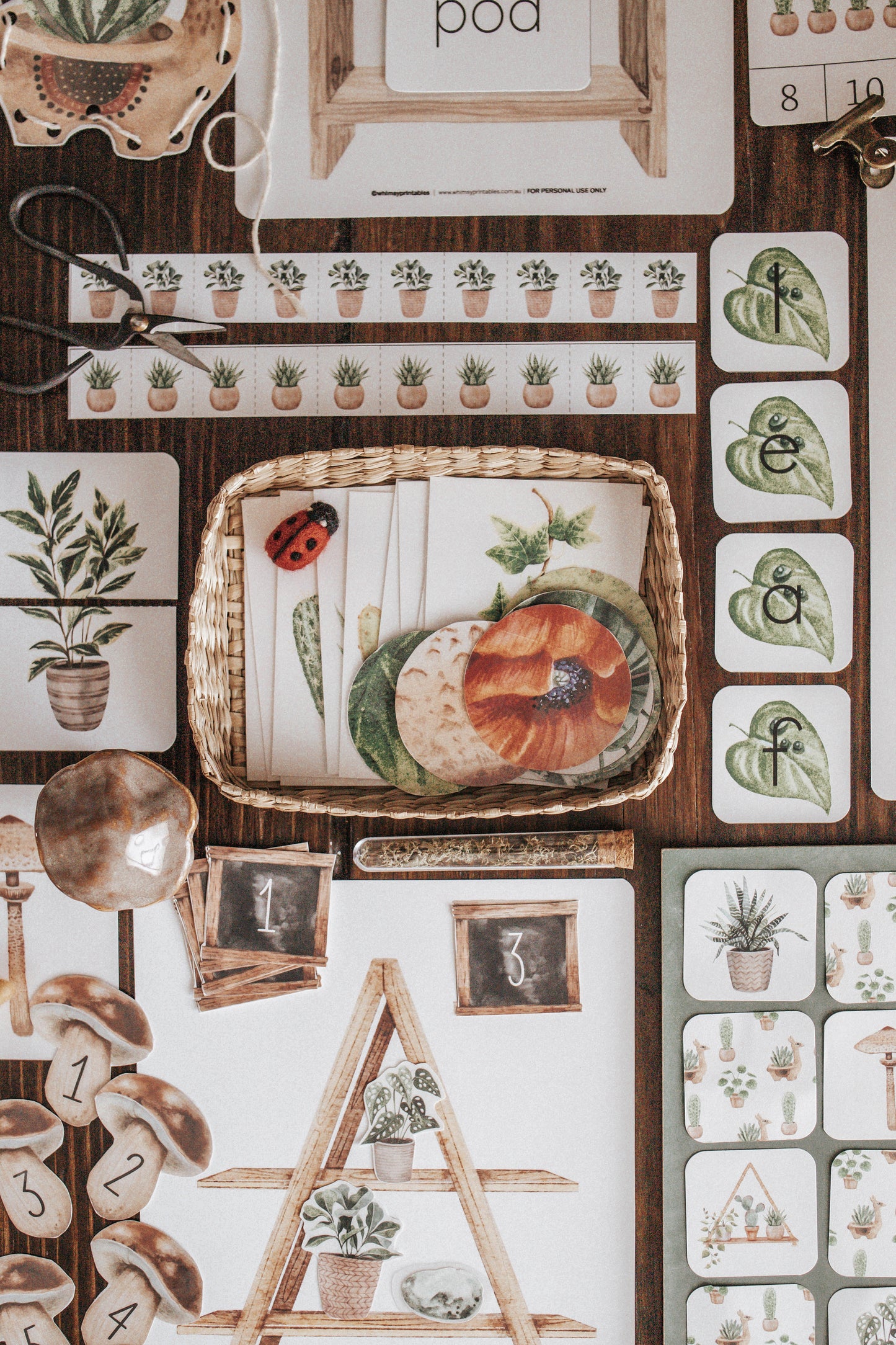 BOTANY MORNING BASKET