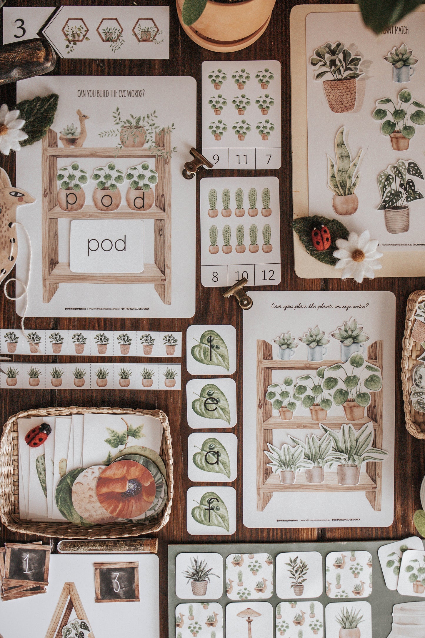 BOTANY MORNING BASKET