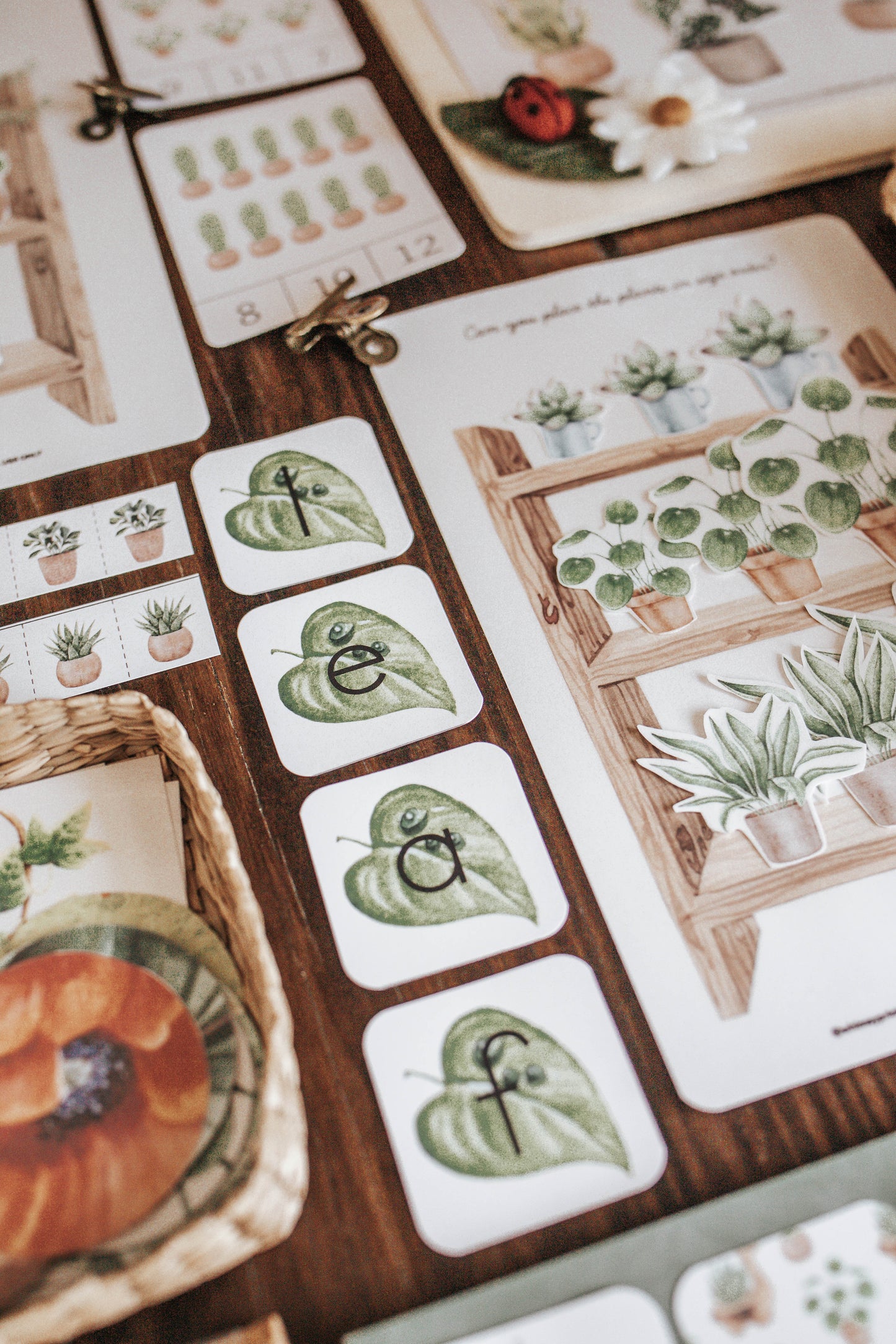 BOTANY MORNING BASKET