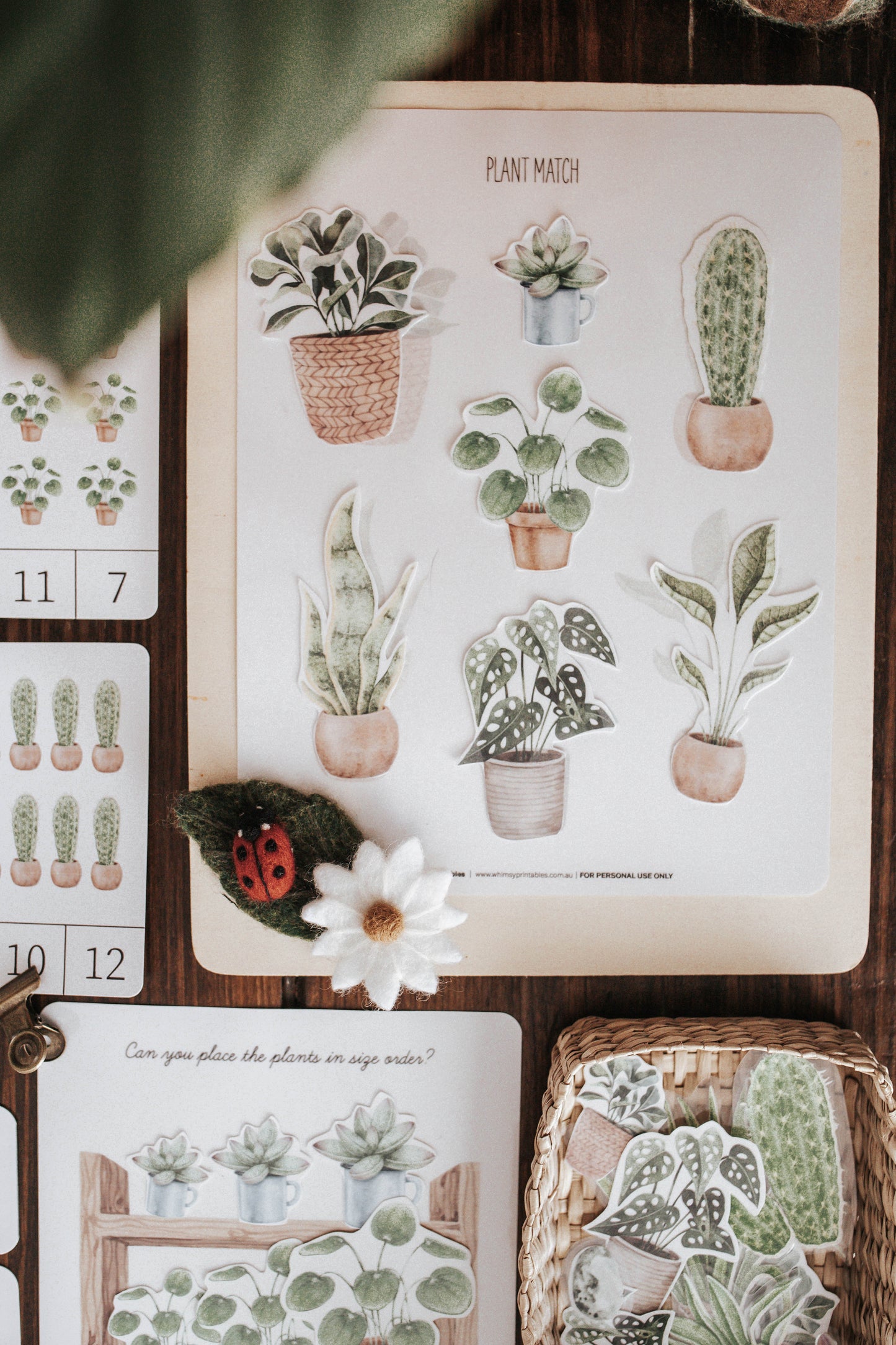 BOTANY MORNING BASKET
