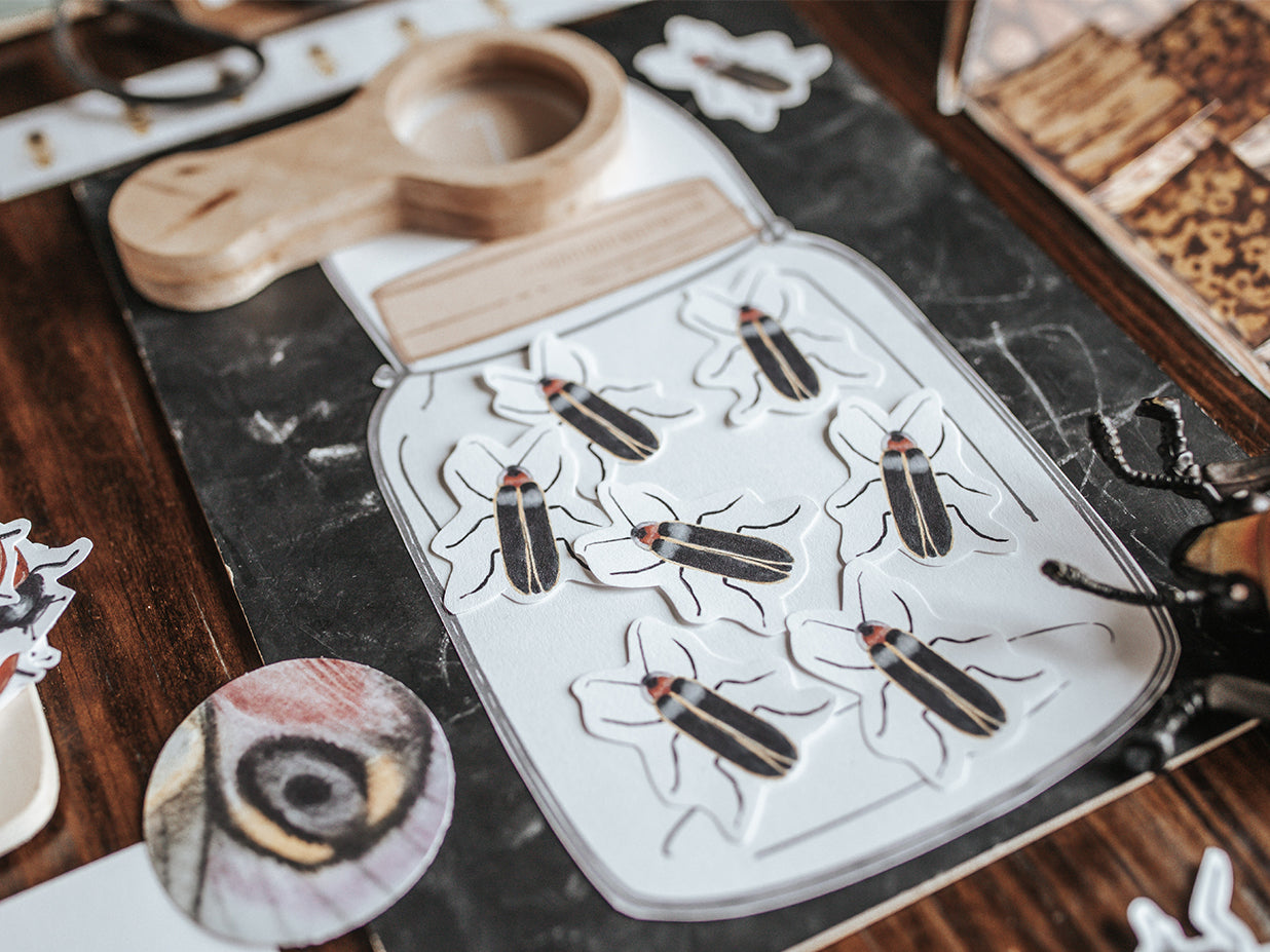 BUGS/ENTOMOLOGY MORNING BASKET