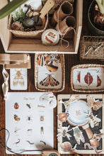 Load image into Gallery viewer, BUGS/ENTOMOLOGY MORNING BASKET
