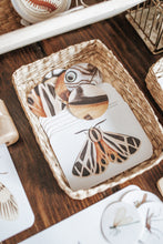 Load image into Gallery viewer, BUGS/ENTOMOLOGY MORNING BASKET
