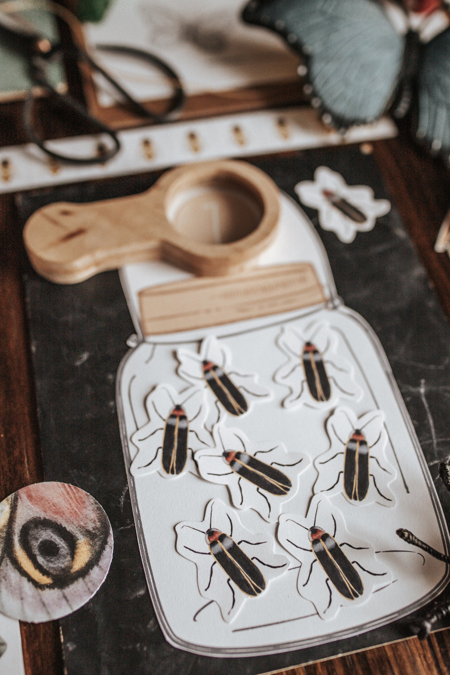 BUGS/ENTOMOLOGY MORNING BASKET