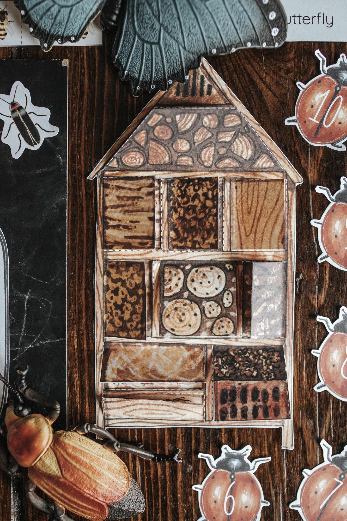 BUGS/ENTOMOLOGY MORNING BASKET