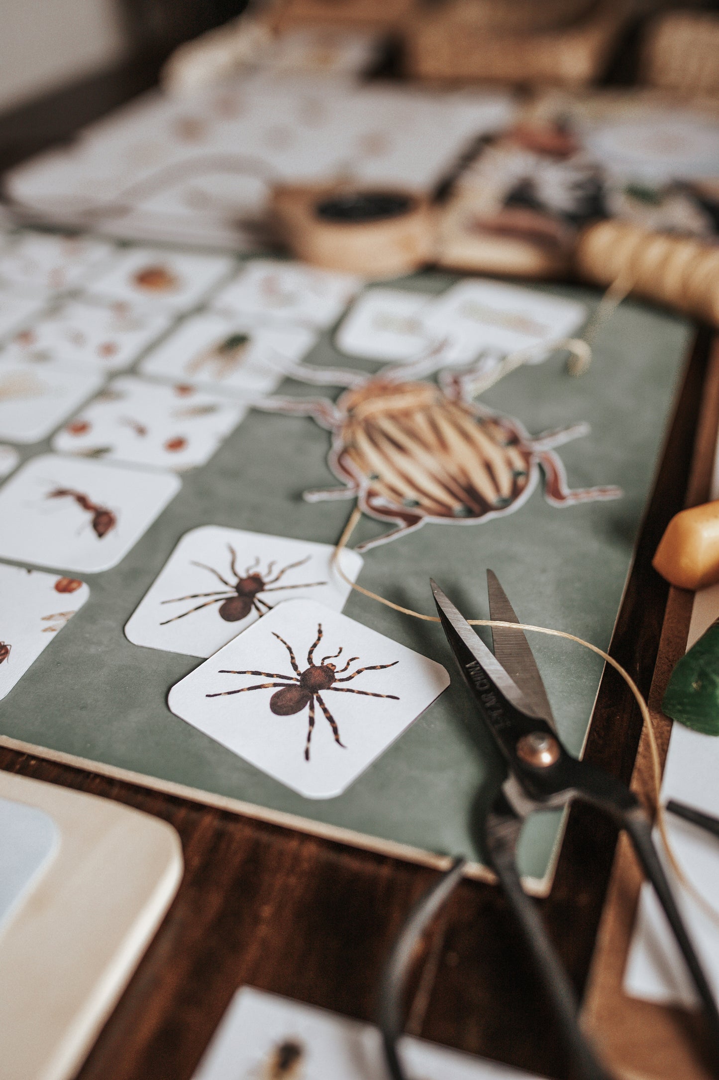 BUGS/ENTOMOLOGY MORNING BASKET
