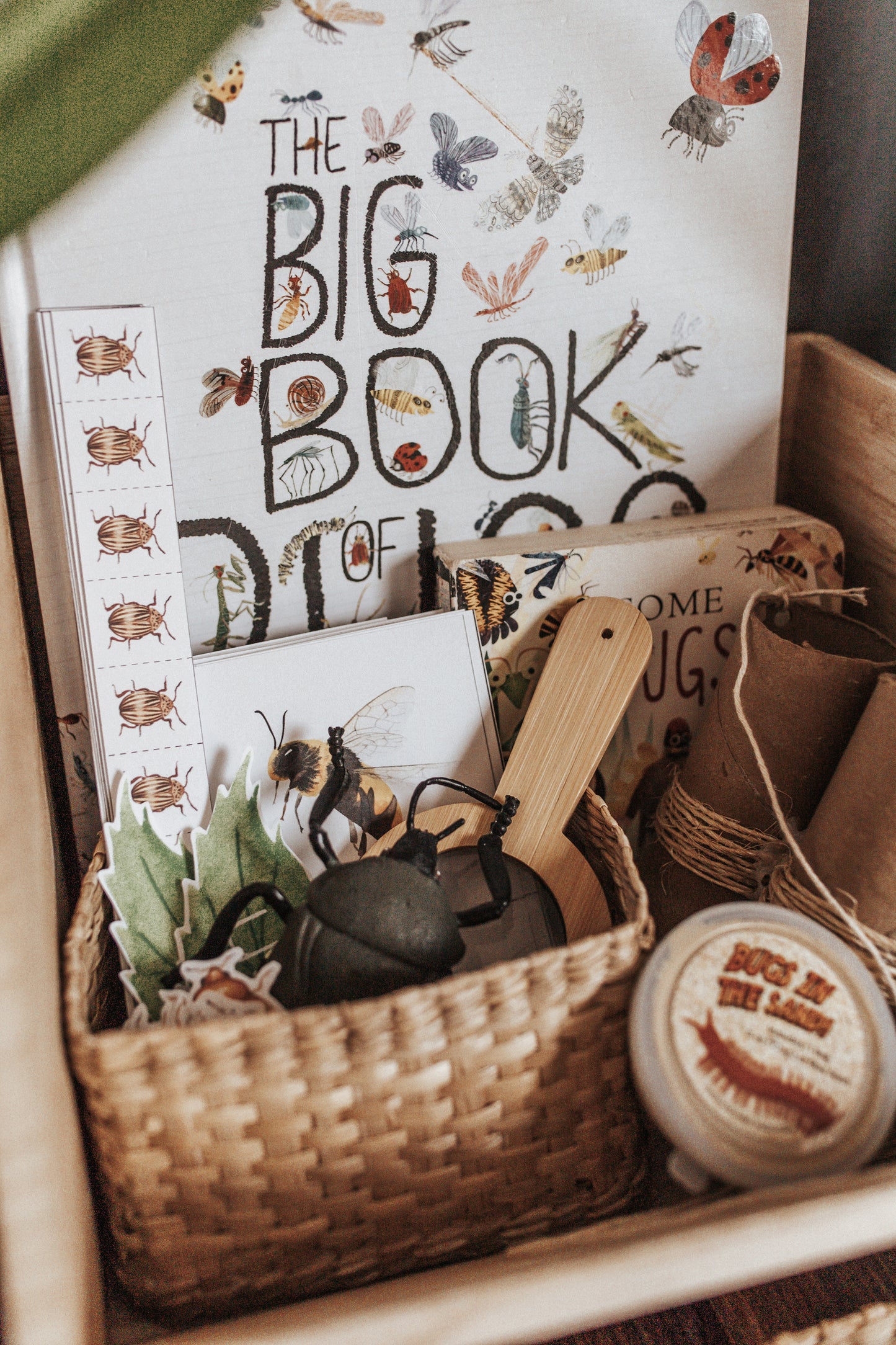BUGS/ENTOMOLOGY MORNING BASKET